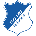 TSG Hoffenheim logosu
